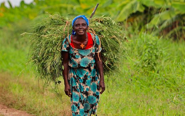 africa-e-oceano-indiano (69).jpg